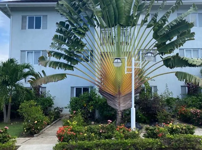 Jamnick Vacation Rentals - Fern Court, Richmond Estate, St Ann, Jamaica Aparthotel Ocho Rios